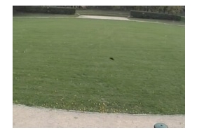 Widok na Park Miejski