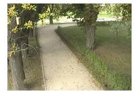 Ścieżka w Parku Miejskim